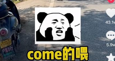 come的喂梗意思介绍